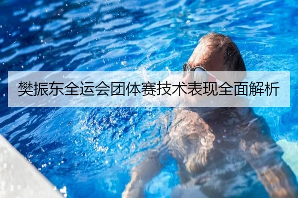 樊振东全运会团体赛技术表现全面解析